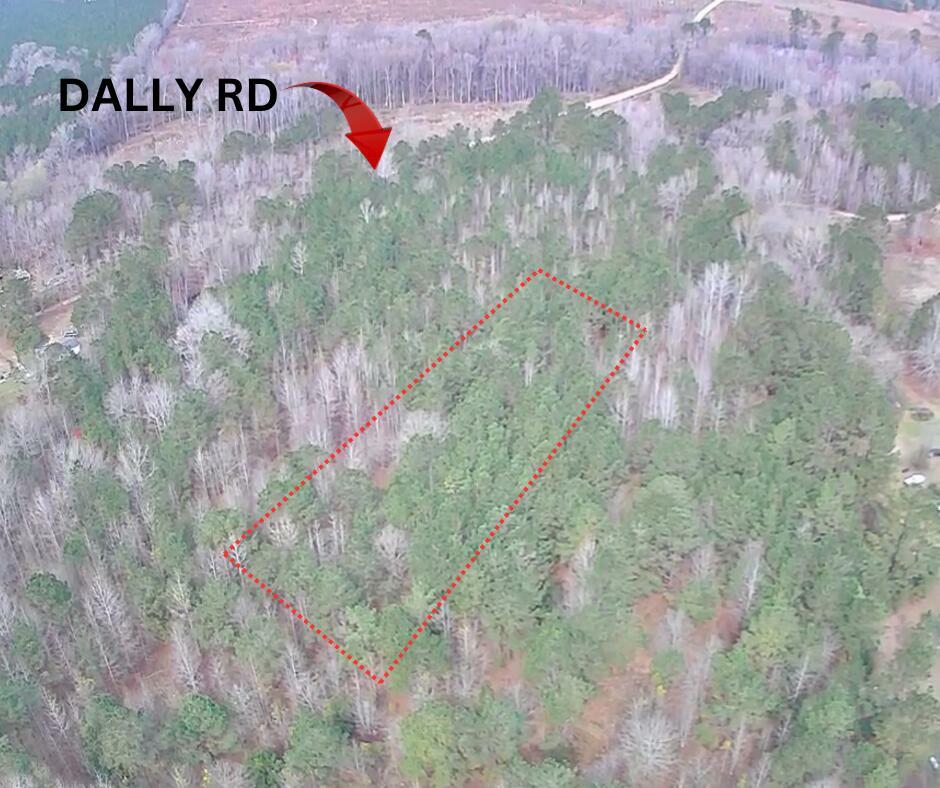 Property Photo: Tbd Dally Road SC 29042