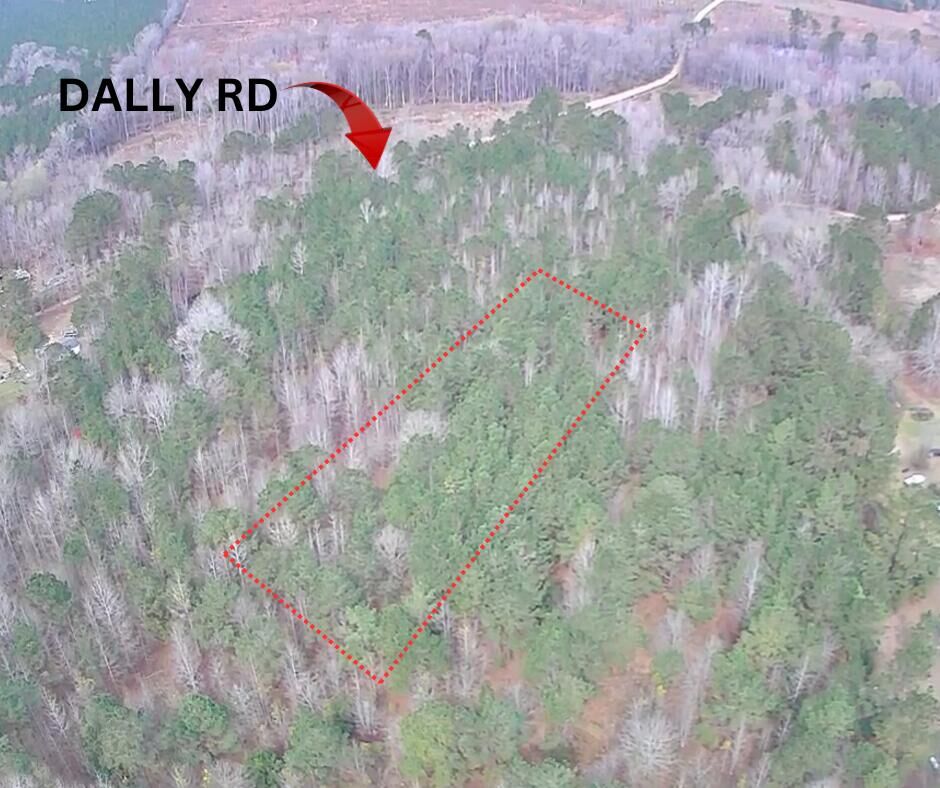 Property Photo: Tbd Dally Road SC 29042