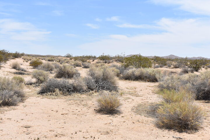 Property Photo:  225th St E And Ave B8  CA 93535 