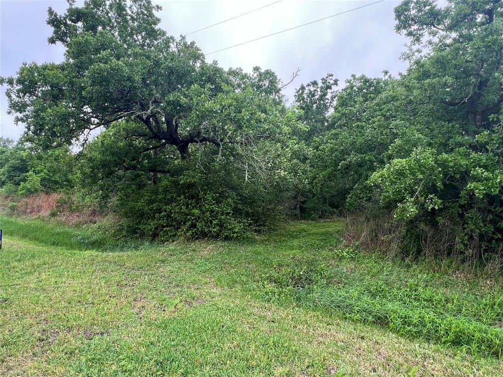 Property Photo: 0 S Shady Glen Drive TX 77514