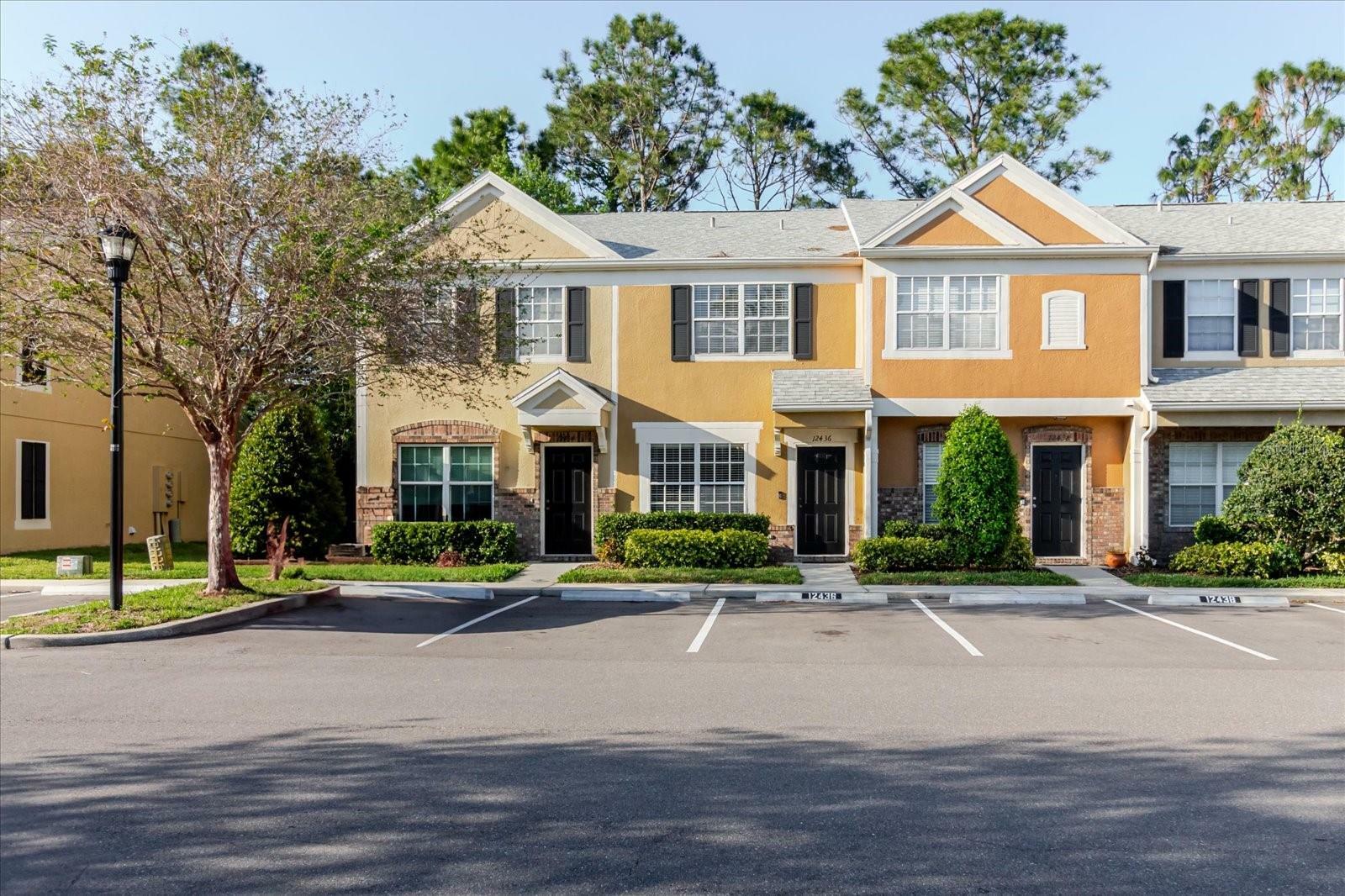 12436 Berkeley Square Drive  Tampa FL 33626 photo