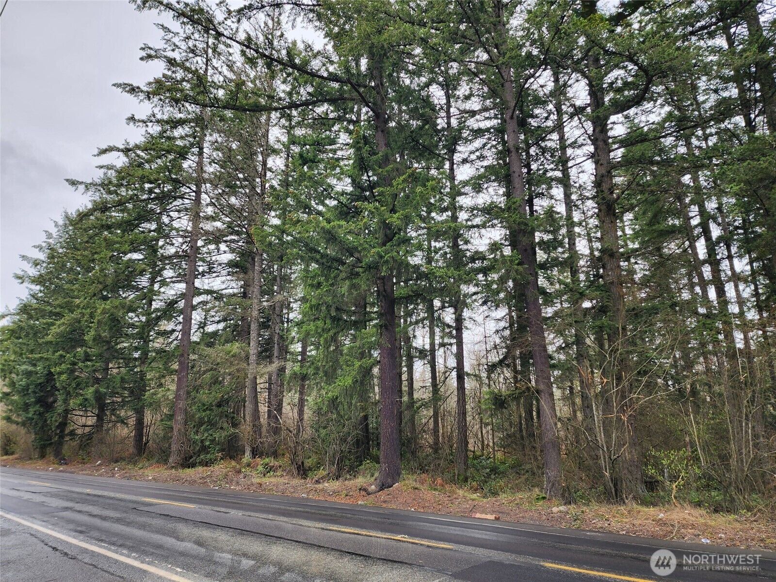 Property Photo:  0  126th Avenue E  WA 98338 