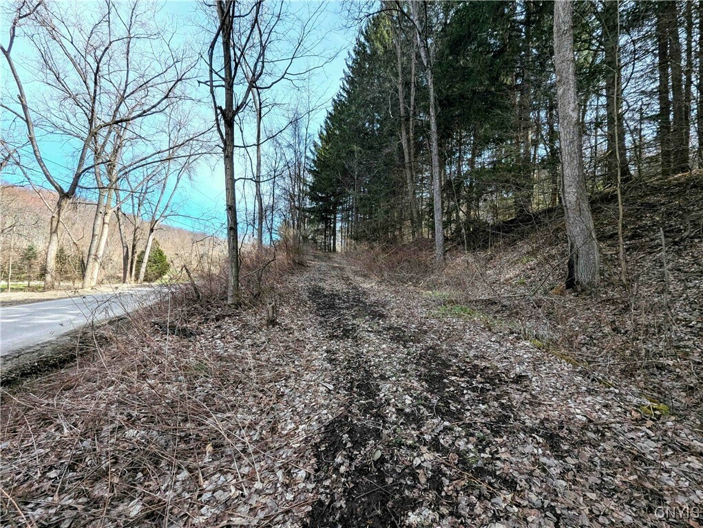 Ryan Hollow Road  Cohocton NY 14826 photo