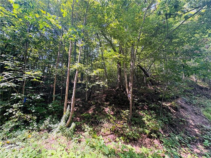 Property Photo: Morris Hill Road NY 14864