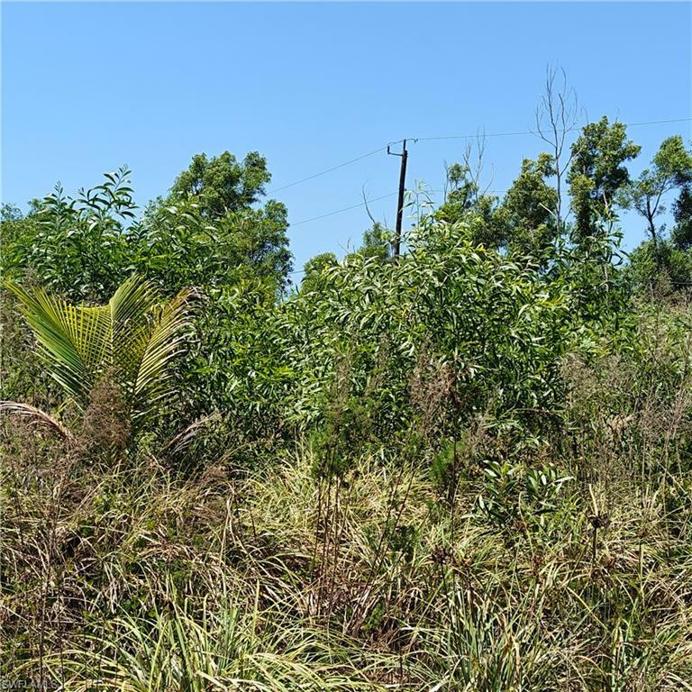 Property Photo:  13941 Silverton Ln  FL 33922 
