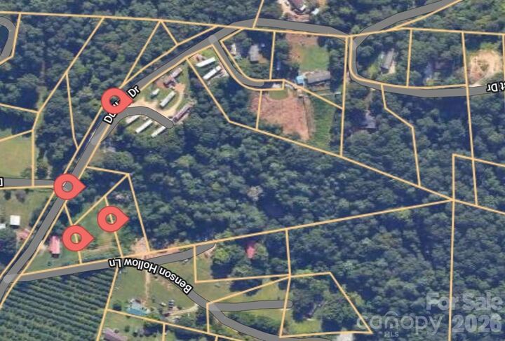 Property Photo:  160 &Amp 196 Dudley Drive  NC 28731 