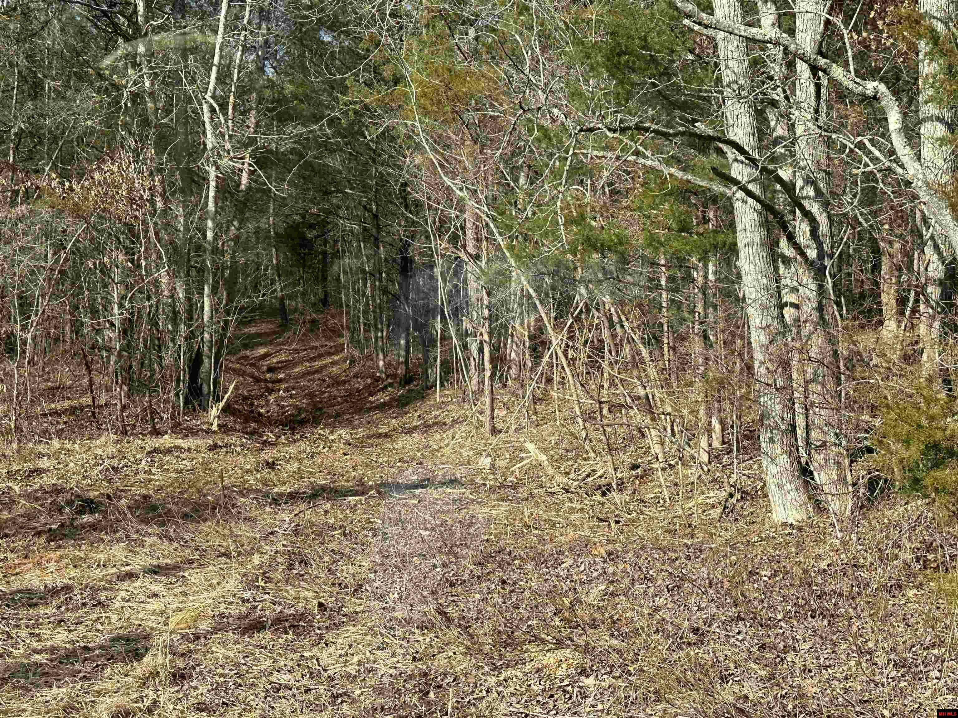 Property Photo: 881 Driftwood Drive AR 72566