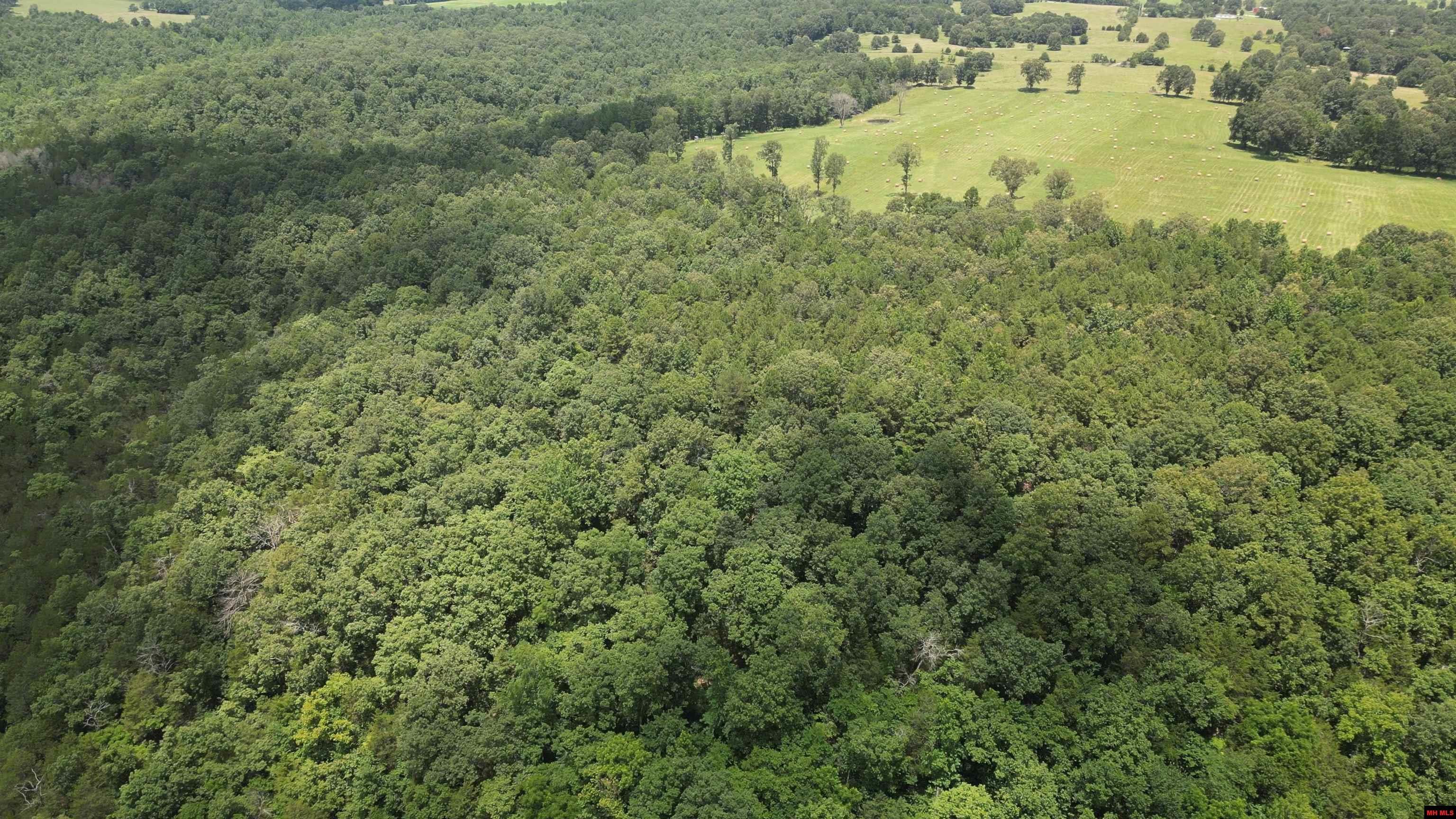 Property Photo: 881 Driftwood Drive AR 72566