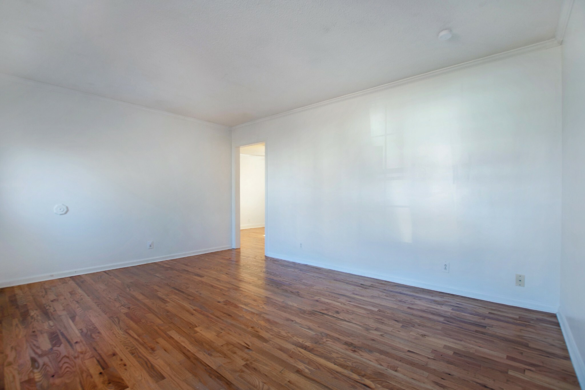Property Photo:  410 Newman Dr  TN 37042 
