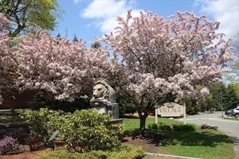 Property Photo: 171 Swanton Street 63 MA 01890