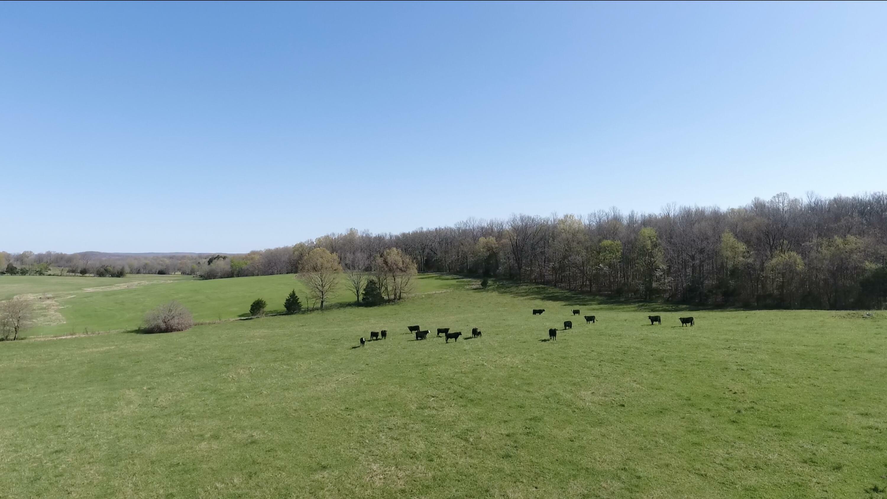 Property Photo: 000 Highway 142 MO 65690