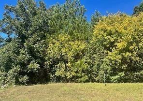 Property Photo: 442 The Boulevard GA 30263