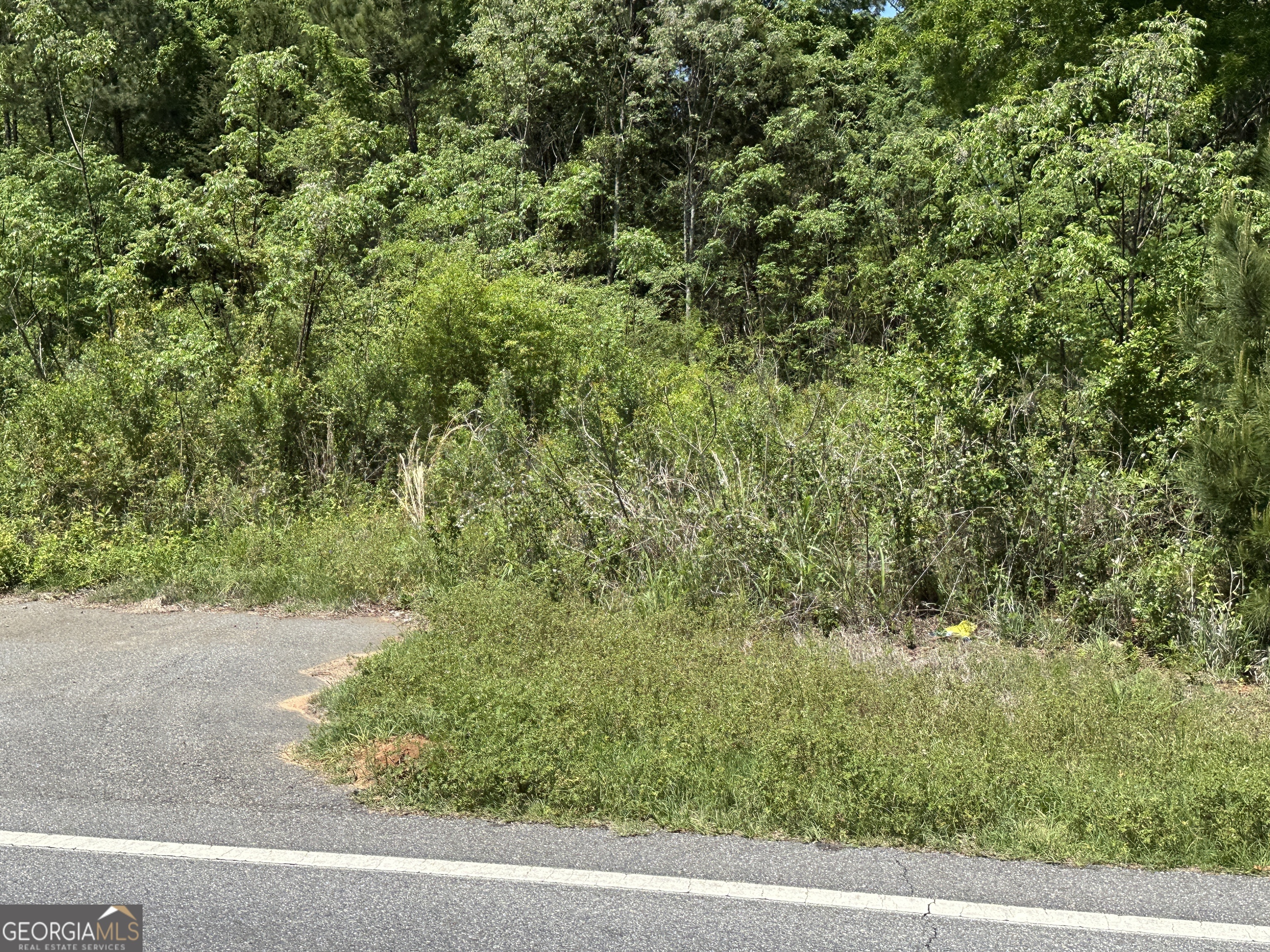 Property Photo: 13059 E State Route 26 Road GA 31063