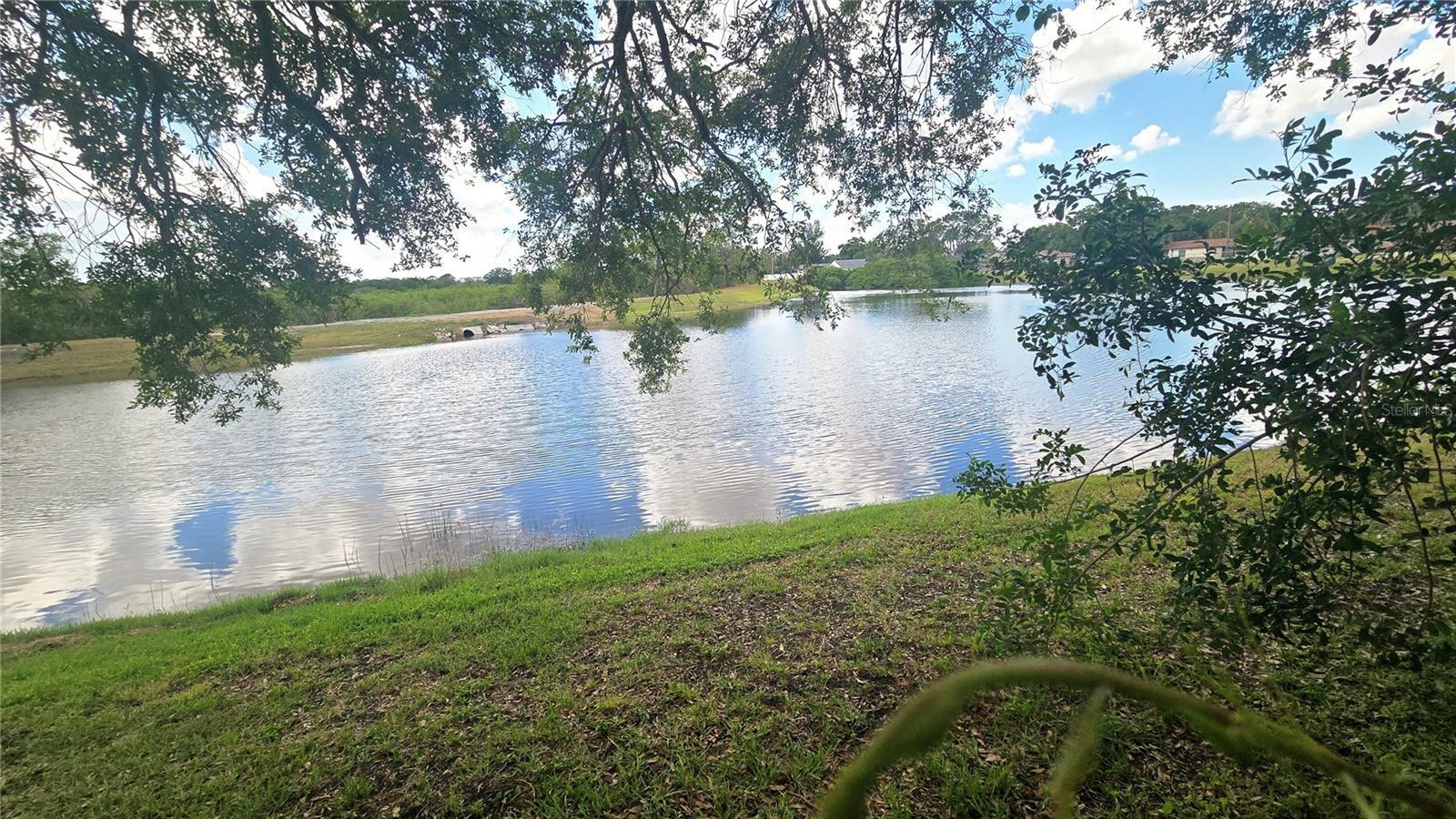Property Photo: 704 Lemonwood Drive FL 34677