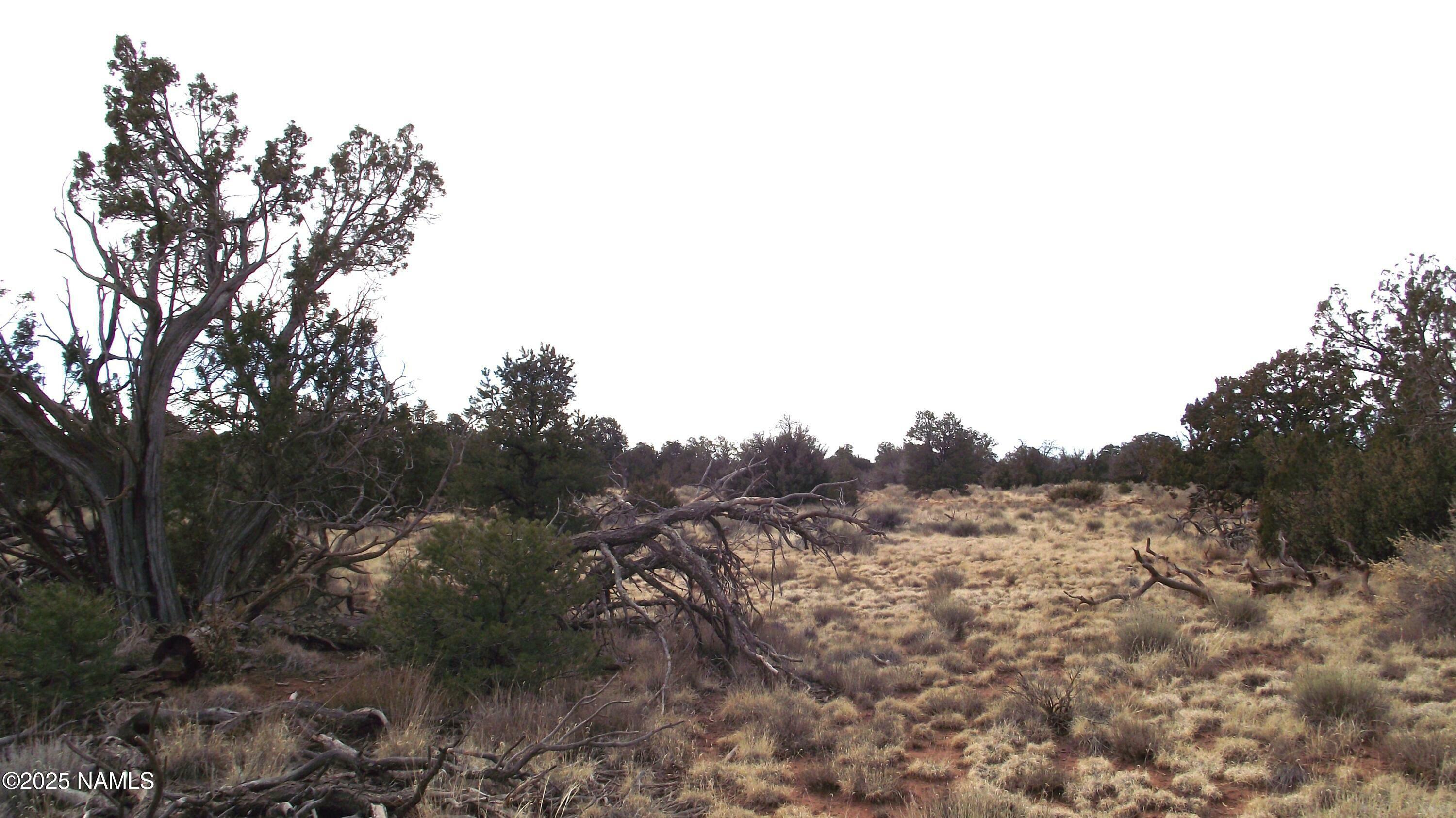 Property Photo: 4516 Parker Drive AZ 86046