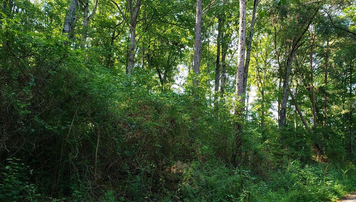 Property Photo:  4 Treeline Drive  TN 37327 