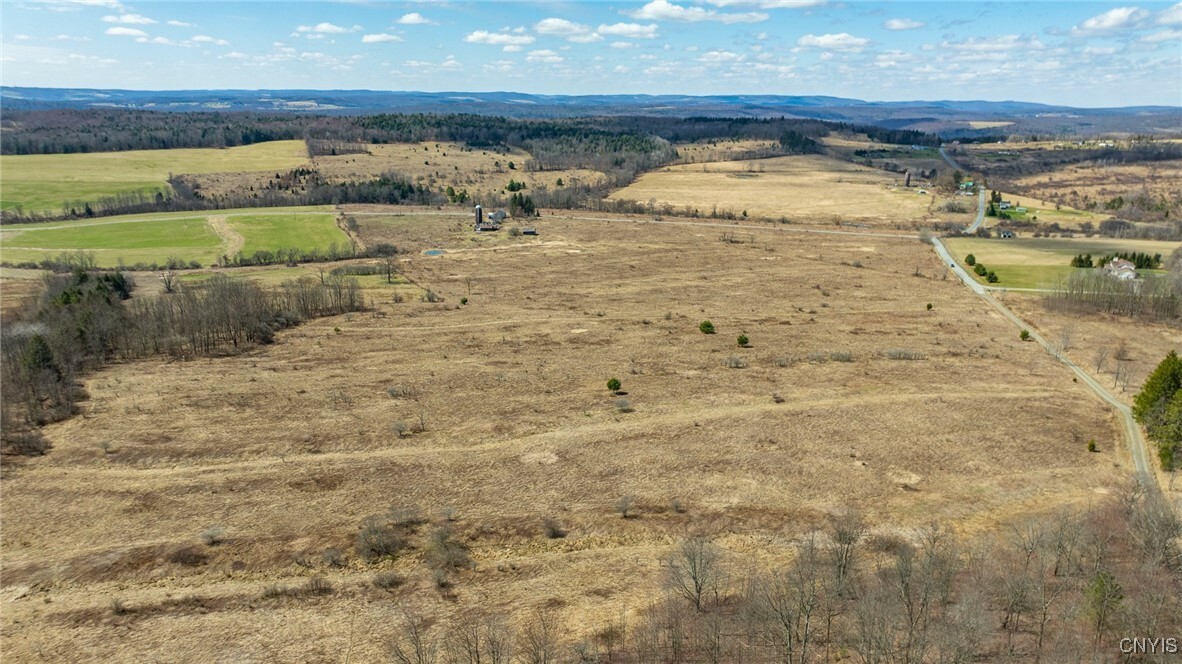 246 Carigan Road  Triangle NY 13862 photo