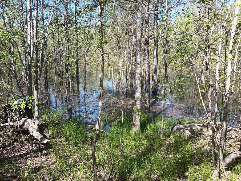 Property Photo: 00 Holly Creek Cool Springs Road GA 30705