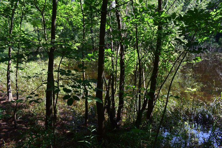 Property Photo:  00 Holly Creek Cool Springs Road  GA 30705 