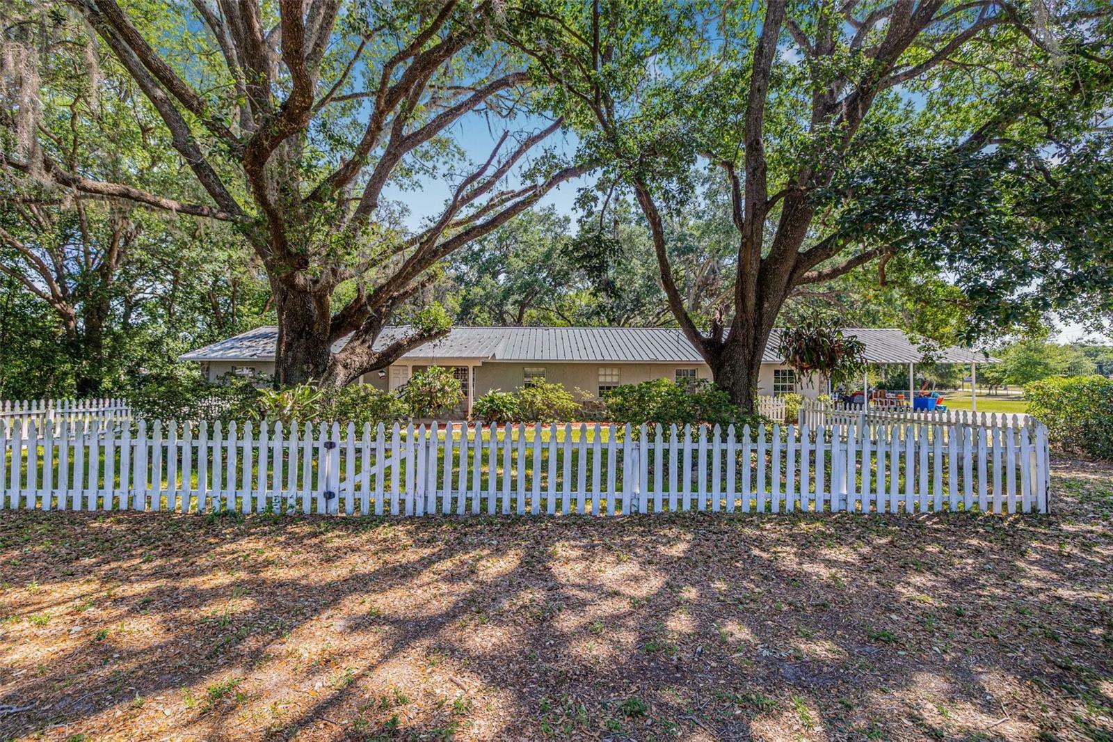 34651 Appaloosa Trail  Zephyrhills FL 33541 photo