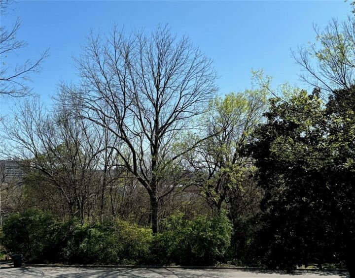 Property Photo: W Mount Nord Street AR 72701