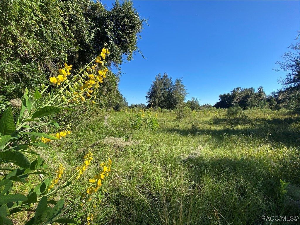 Property Photo: 8701 S Fruition Avenue FL 34436