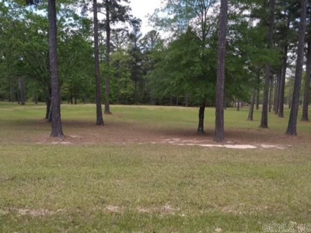 Lot 24 Rexanne Dr  Hampton AR 71744 photo