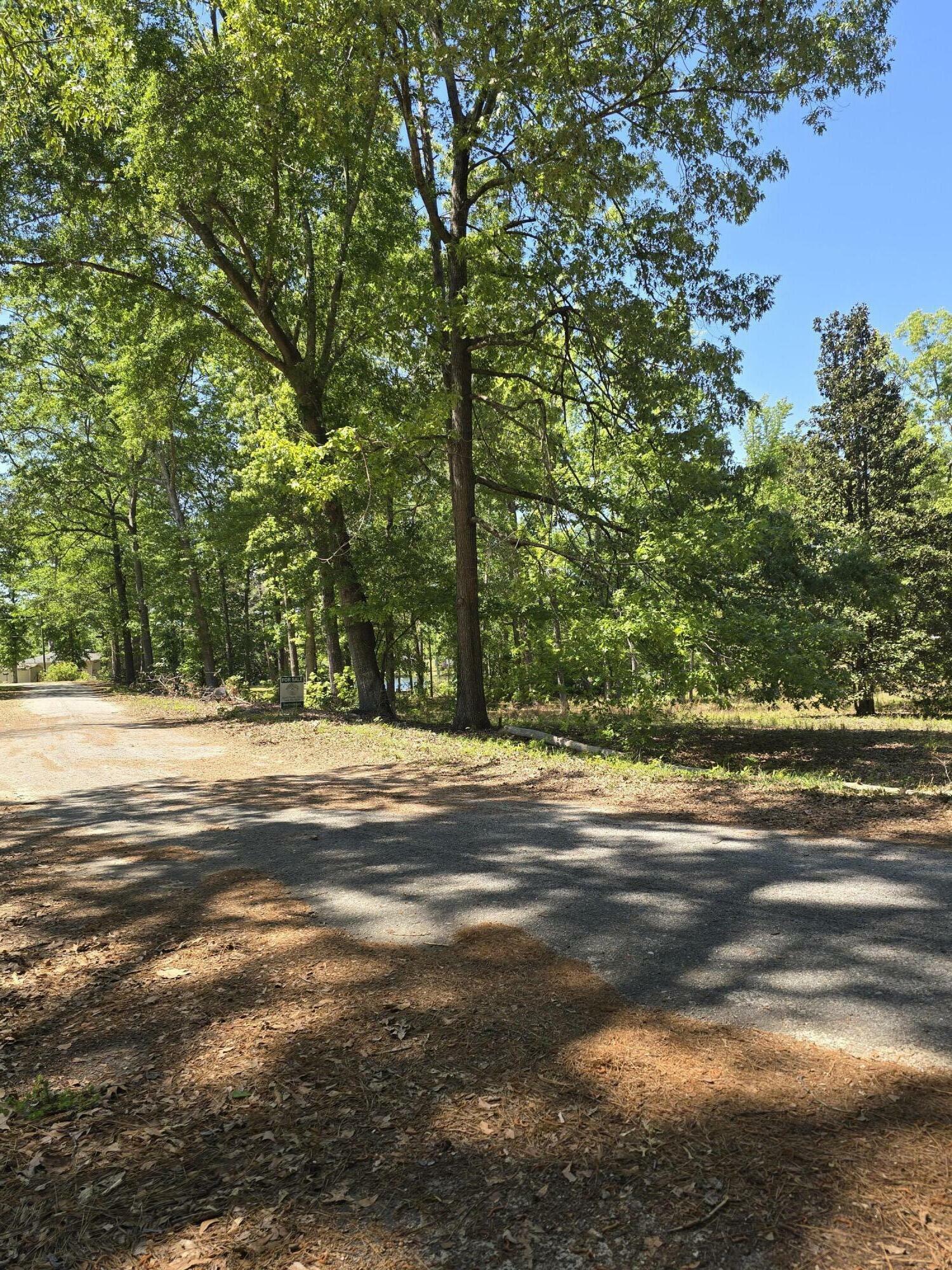 Property Photo: 0 Delano Street SC 29102