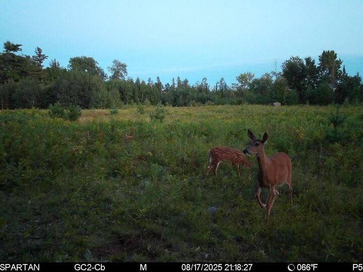 Property Photo: 3005 Klick Dr WI 54547