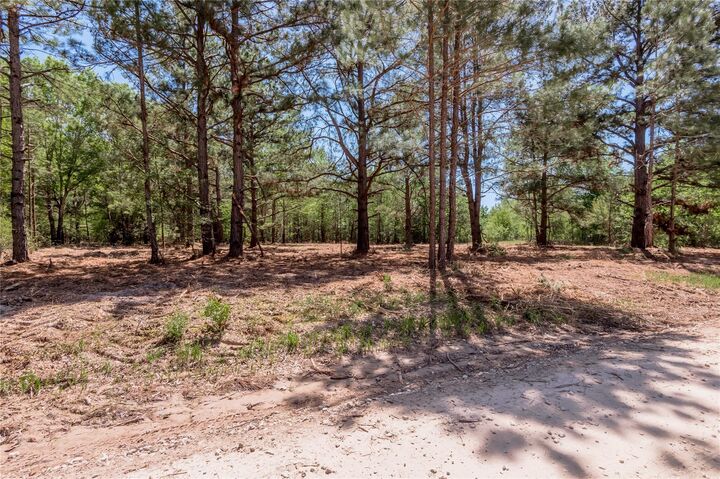 Property Photo: 6077 Tract 3 Cr 4200 TX 75856