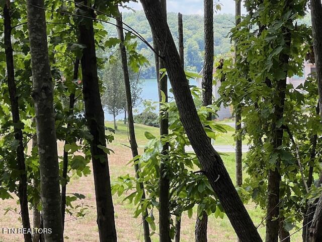 Property Photo:  Thief Neck View Drive  TN 37854 