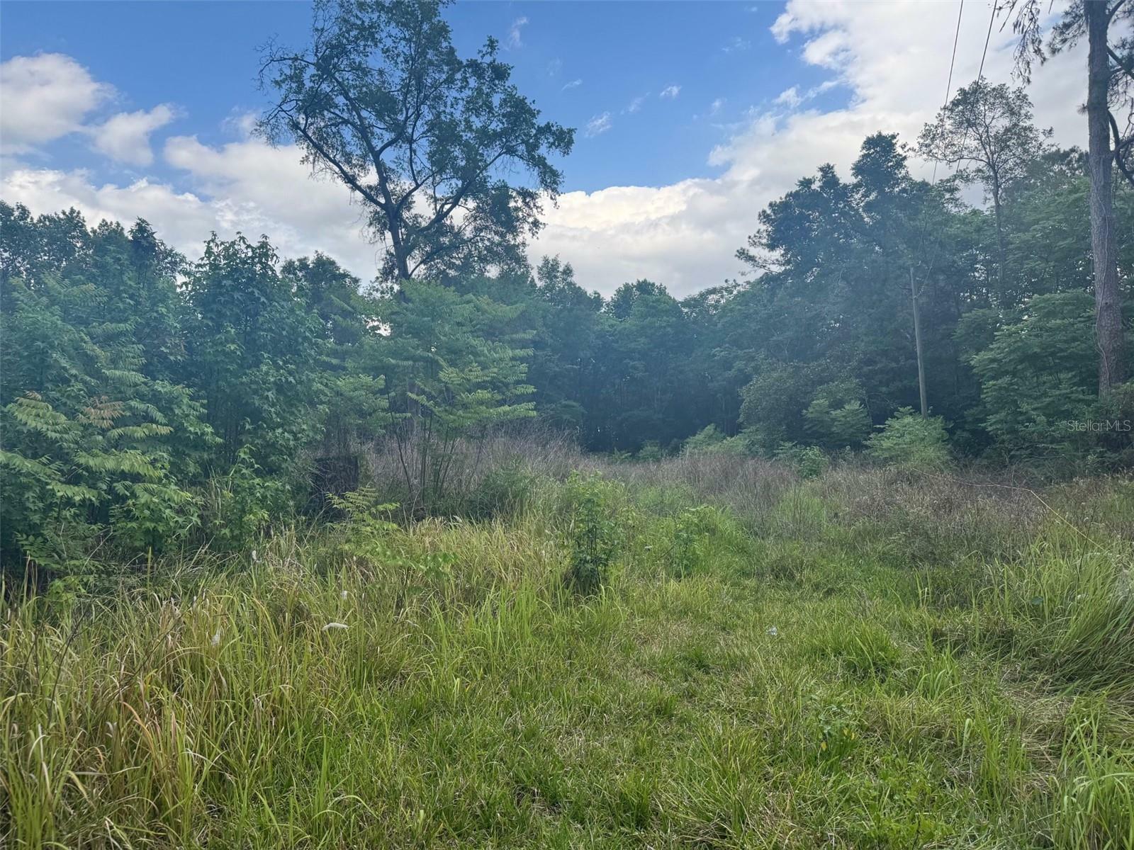 Property Photo: 0 SE 37 Court FL 34420