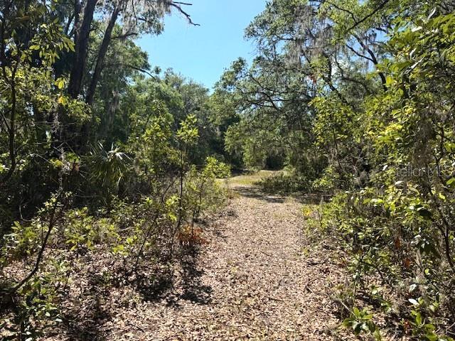 Property Photo: 4140 S Kenvera Loop FL 34450