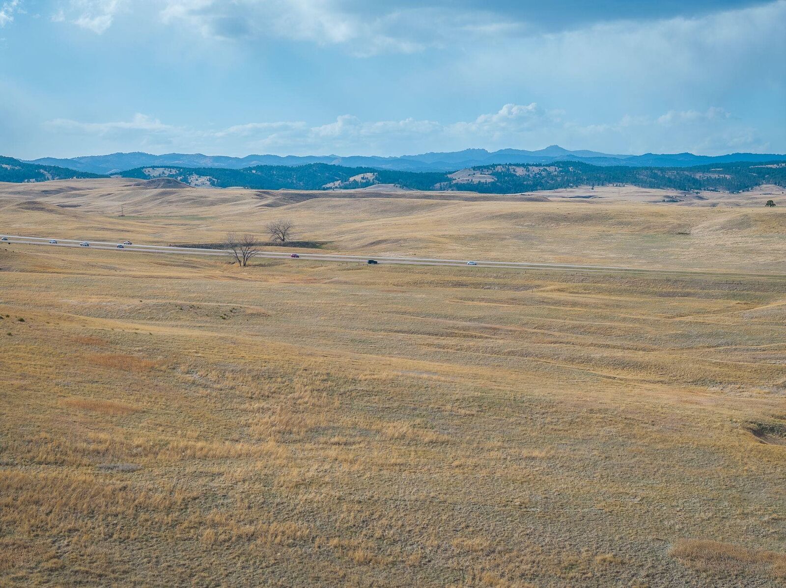 Property Photo: Tract L Highway 79 SD 57738
