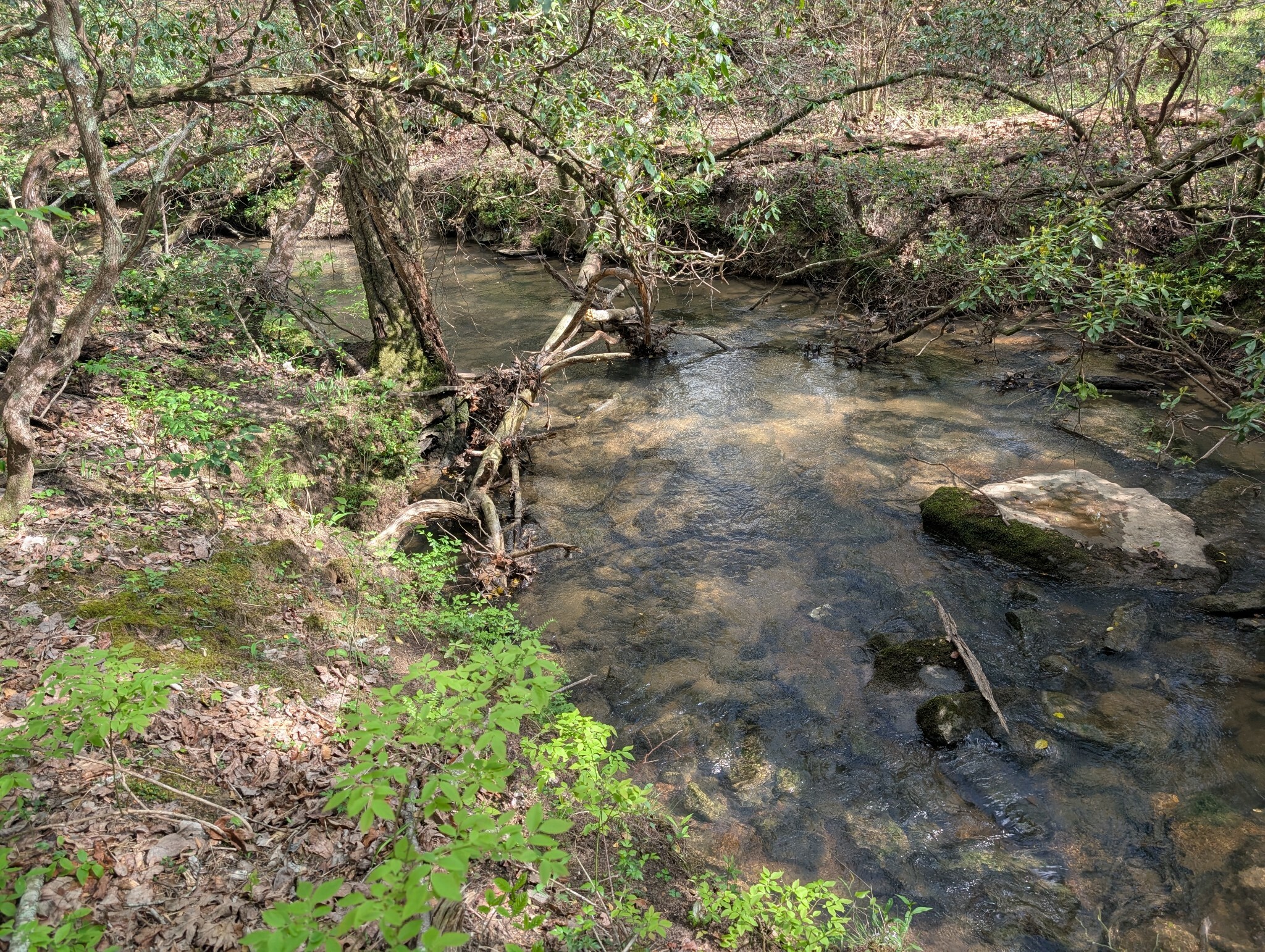 Property Photo: 0 55th Ave East Of TN 37339