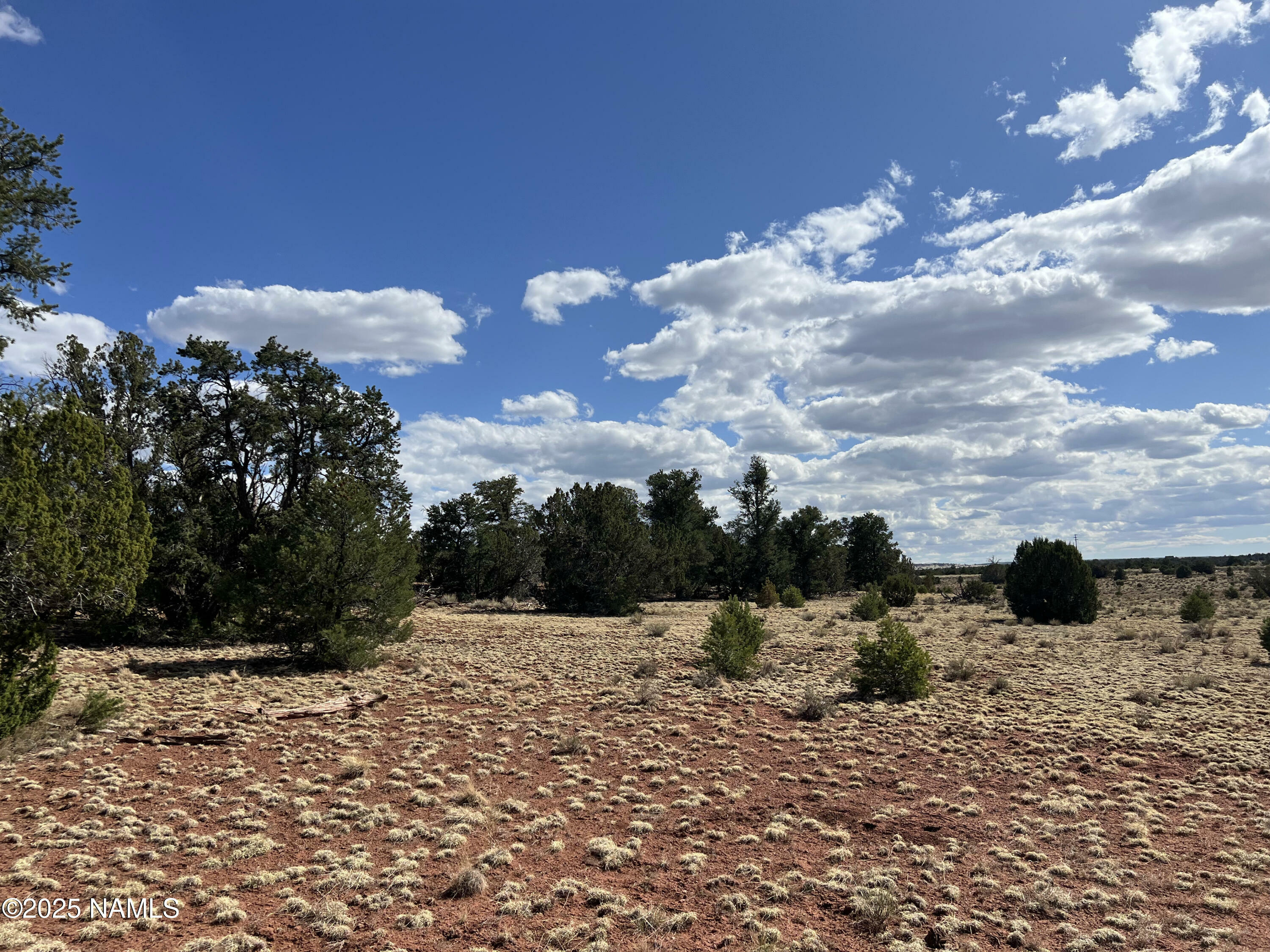 Property Photo:  8913 Water Tank - Lot B Circle  AZ 86046 