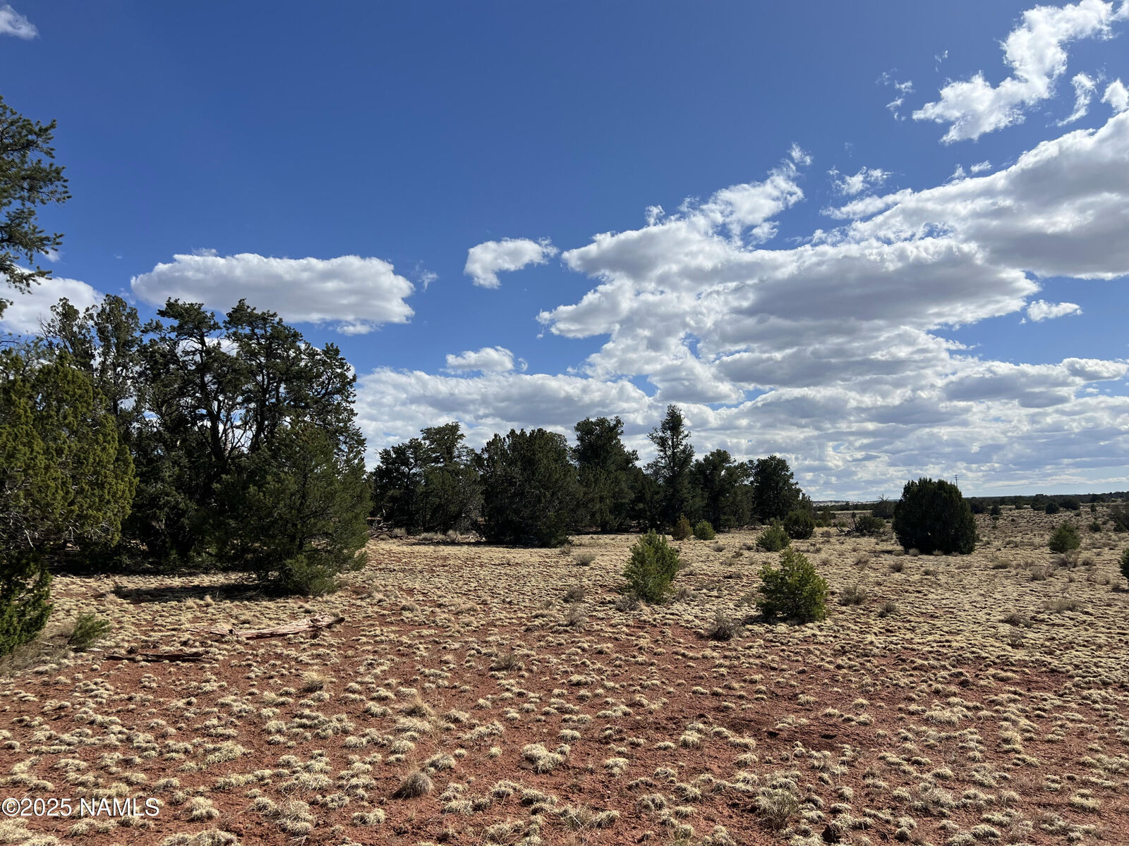 Property Photo:  8913 Water Tank - Lot B Circle  AZ 86046 