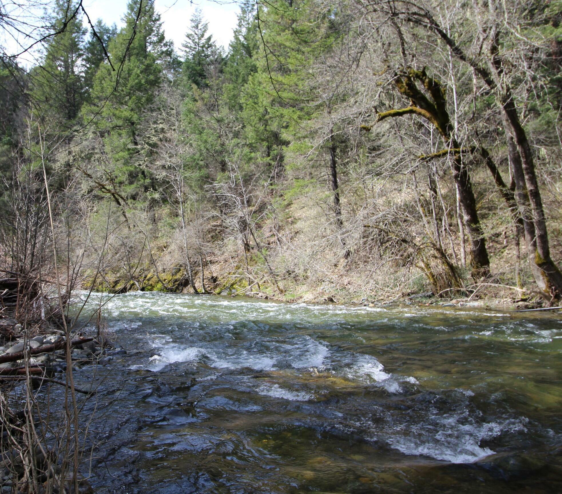 Property Photo: 4848 Carberry Creek Road OR 97530