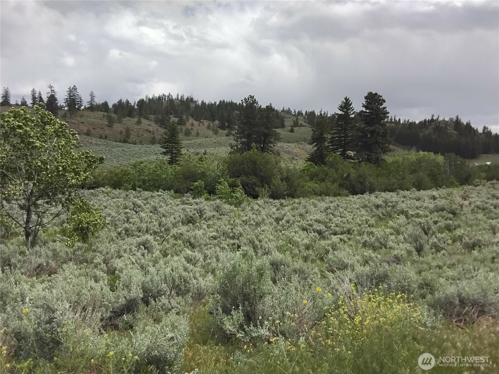 Property Photo: 44 Palmer Mountain Road WA 98844