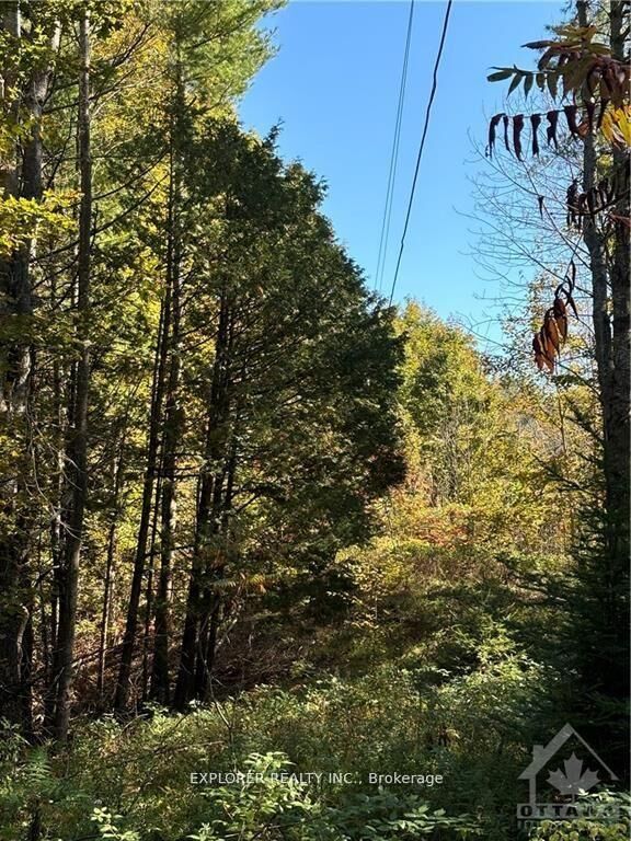 Property Photo:  1077 Muller Point Lane  ON K0H 1C0 