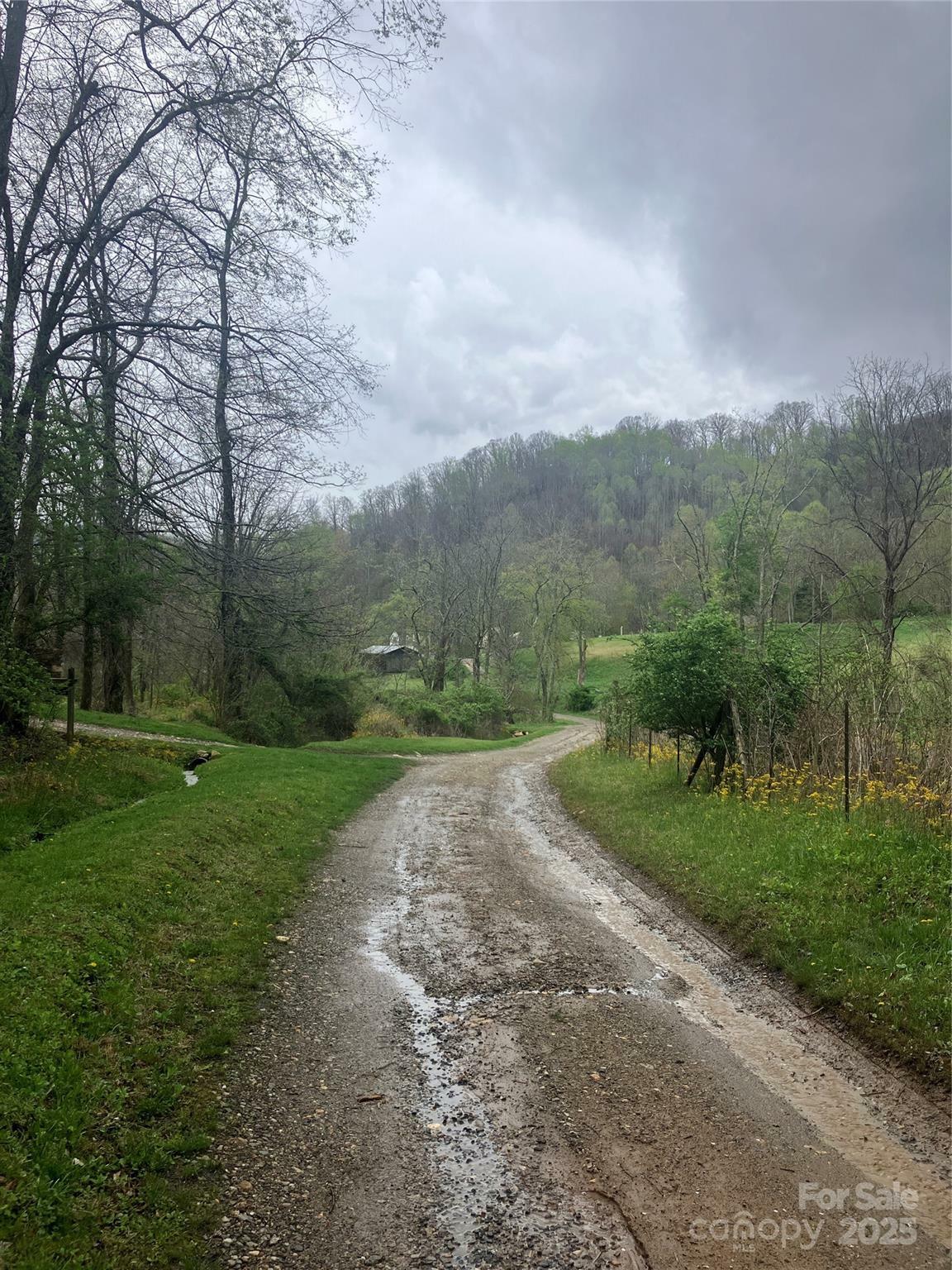 Property Photo: 9999 Davidson Gap Road NC 28748