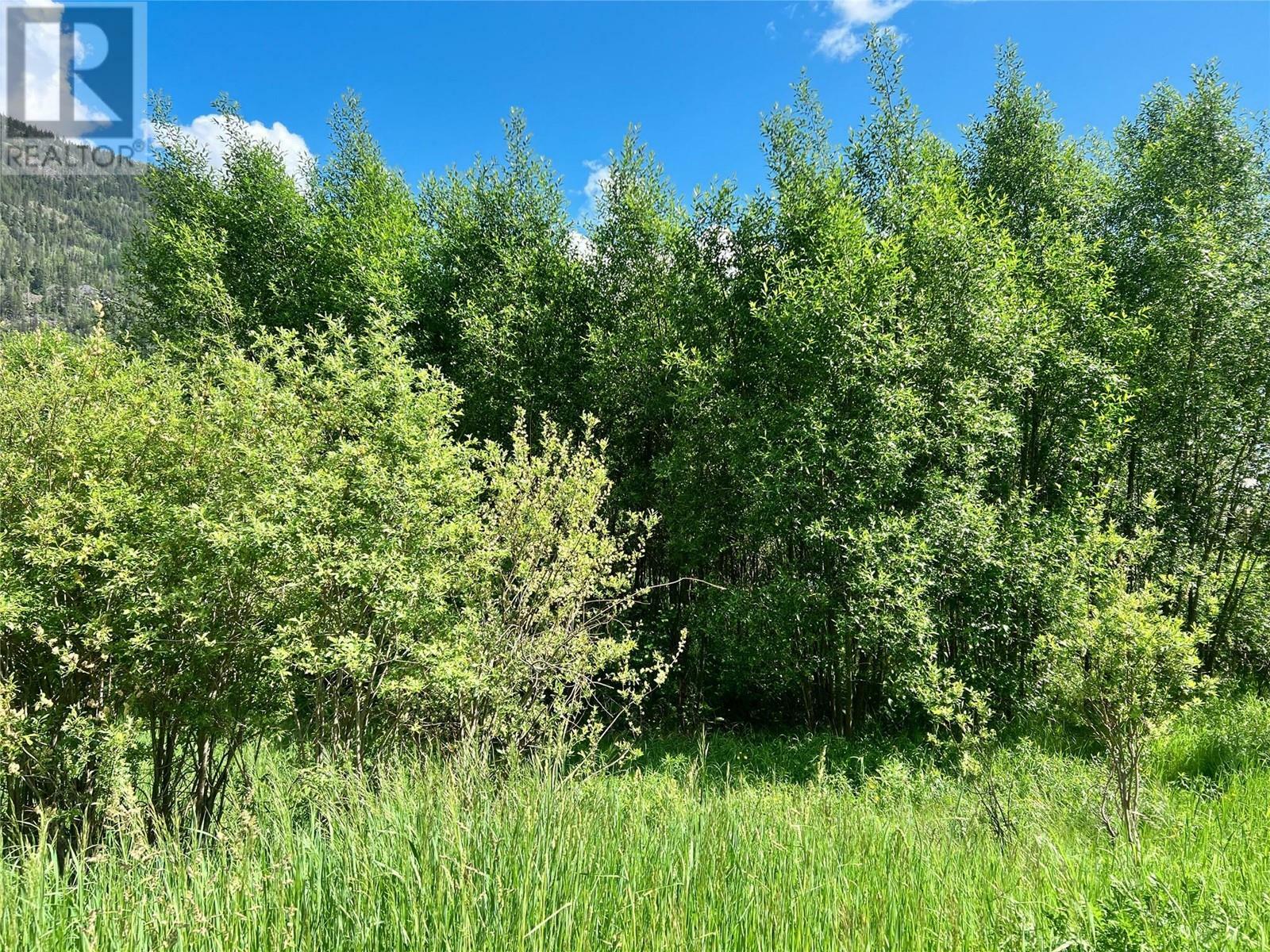 Property Photo:  Parcel F Railway Avenue  BC V0G 1Z0 