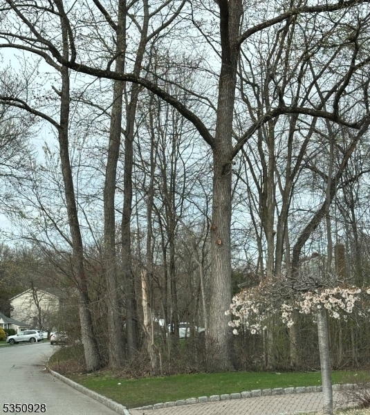 Property Photo: 54 Big Piece Rd NJ 07004