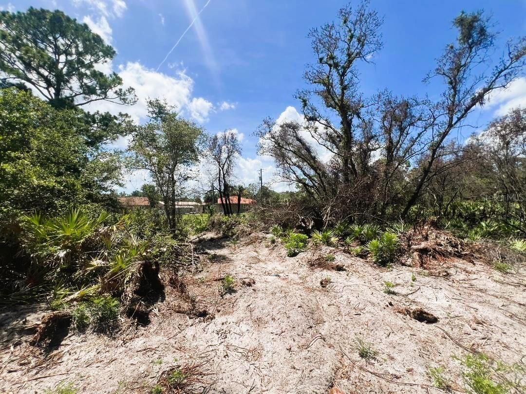 Property Photo:  17128 Wintergarden Avenue  FL 33948 