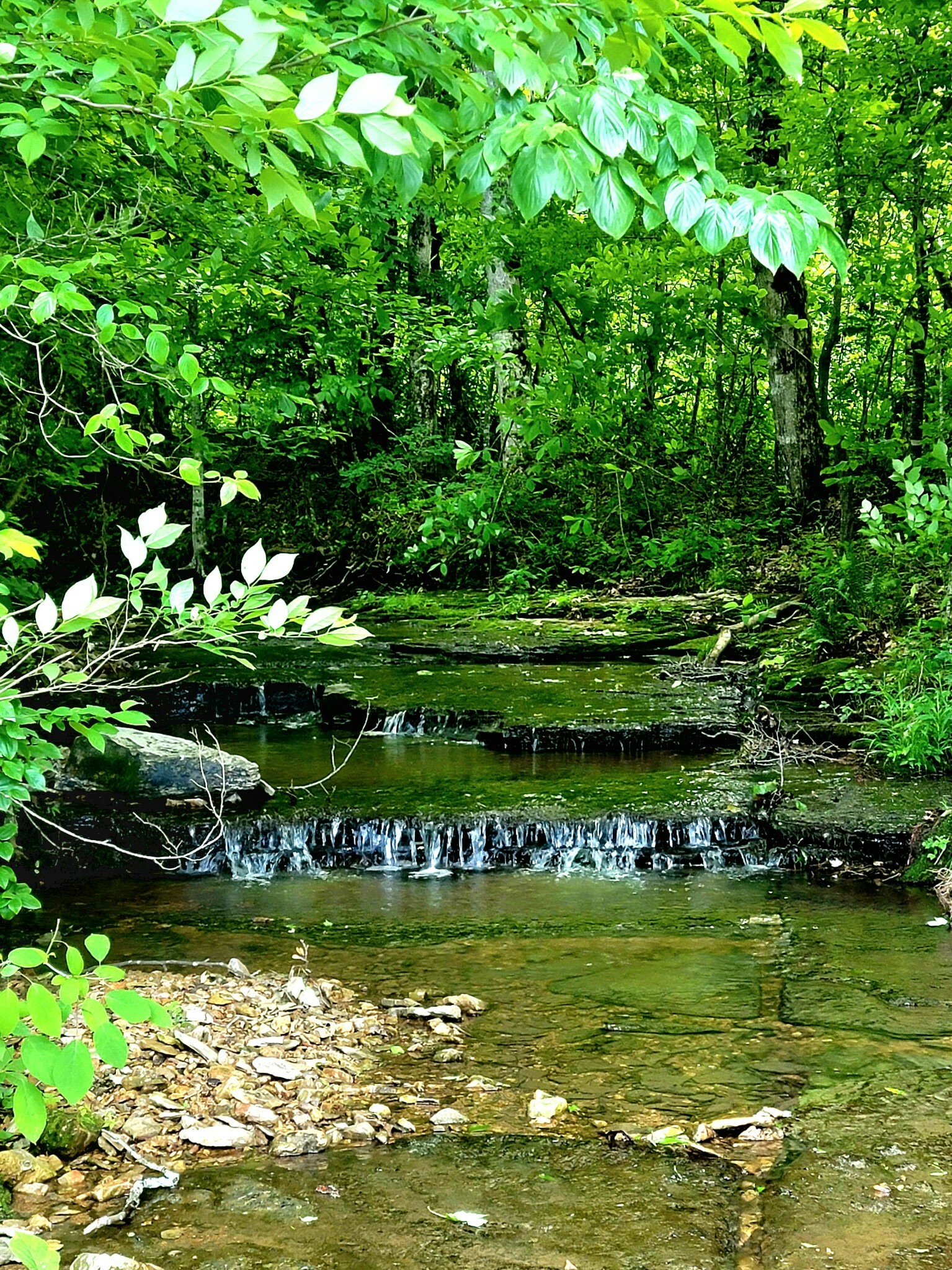 Property Photo: 811 Borum Rd TN 37015