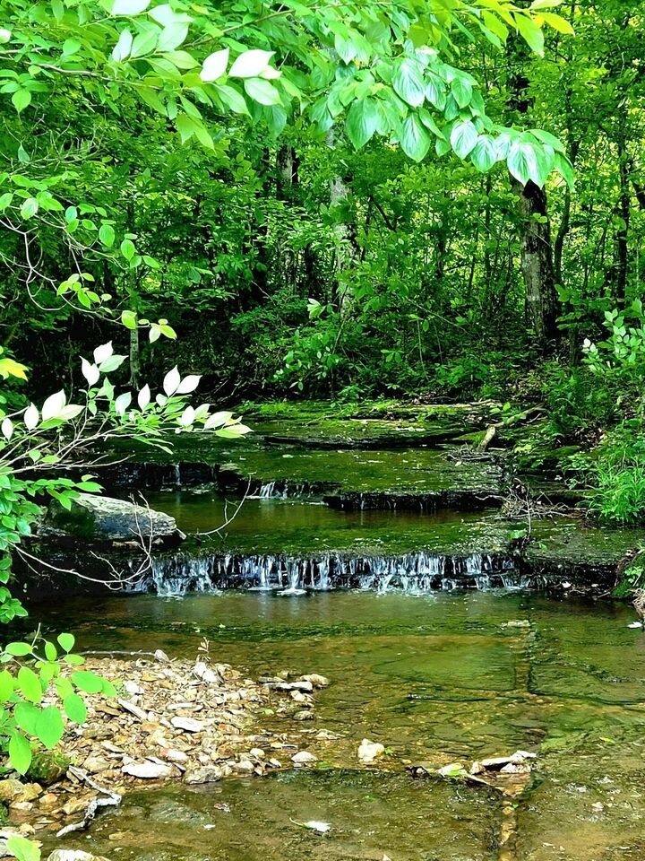 Property Photo:  811 Borum Rd  TN 37015 