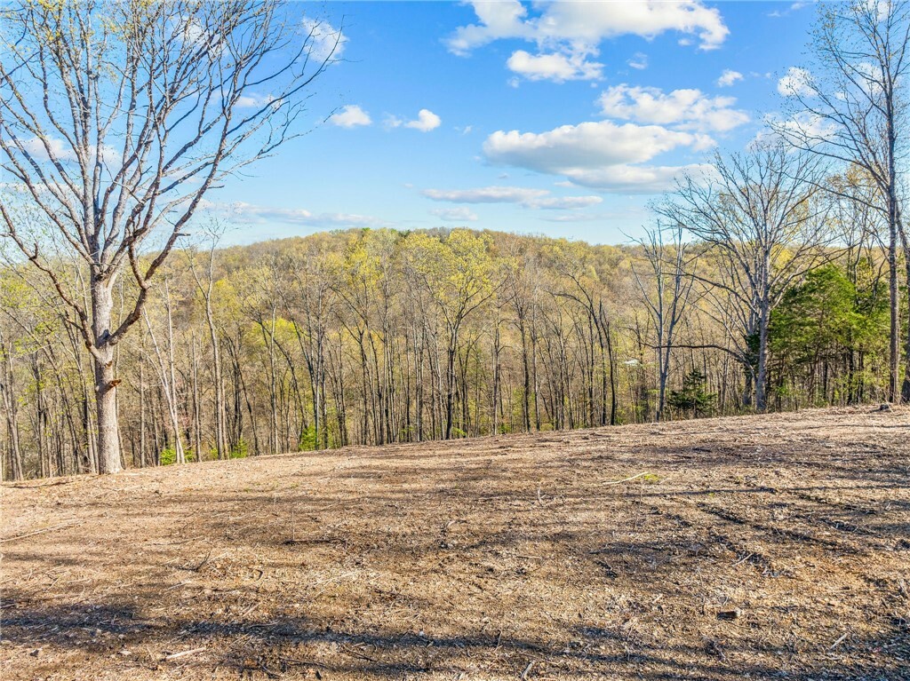 Property Photo:  000 Tower Road  AR 72662 