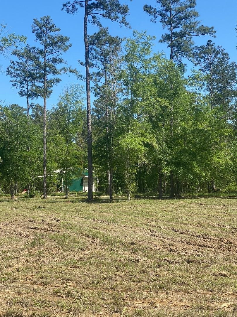 Property Photo: 15339 Southern Lane TX 77659-9999