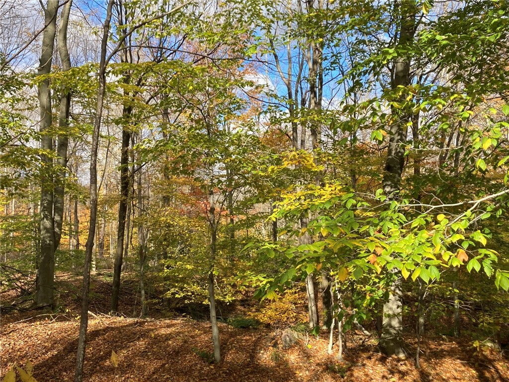Property Photo:  Sanford Road  NY 13156 
