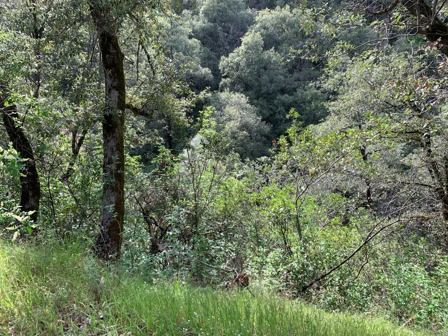 Property Photo: 1885 Pennsylvania Gulch Road CA 95247